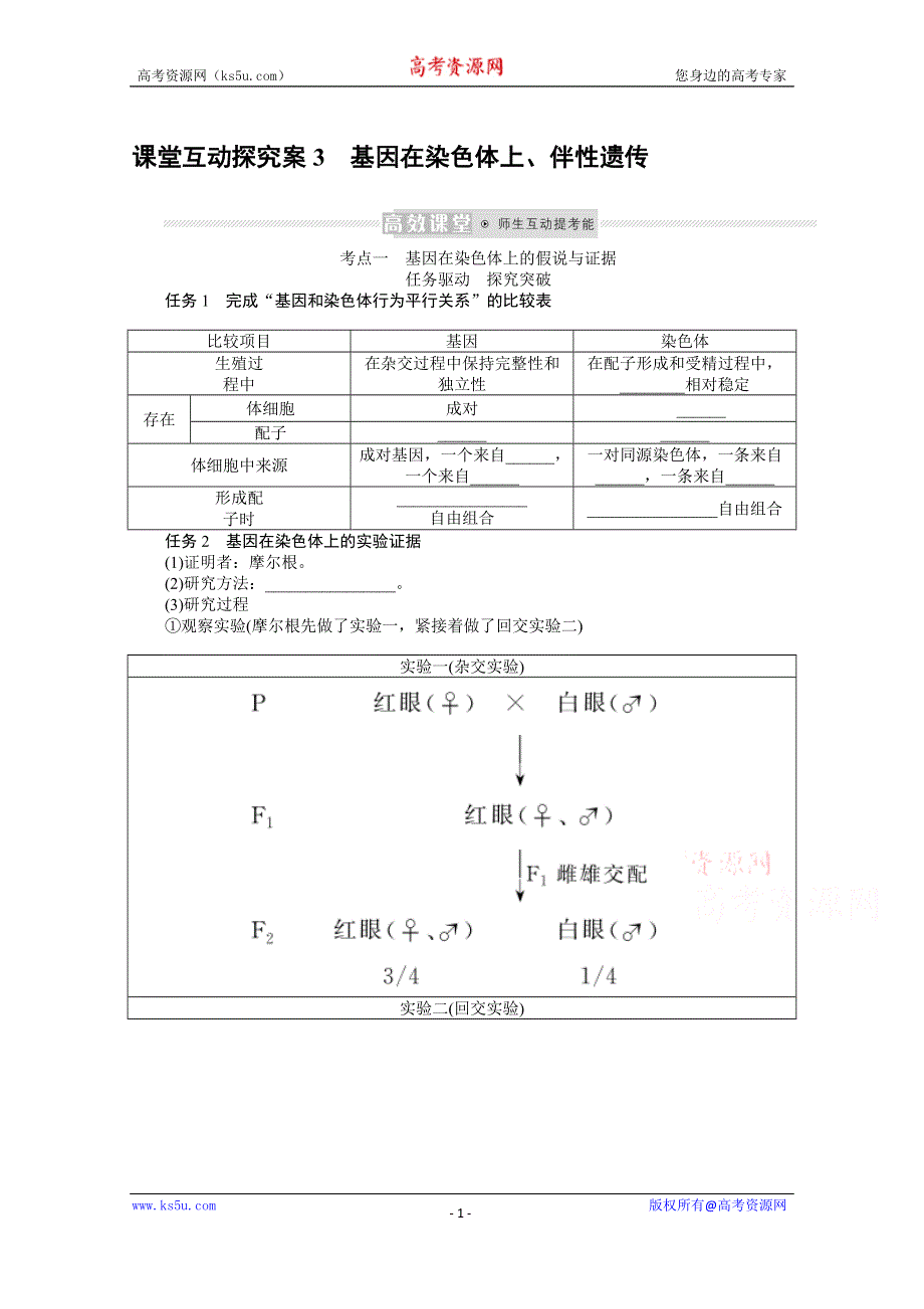 《新教材》2022届新高考生物一轮复习学案：2-1-3 基因在染色体上、伴性遗传 WORD版含解析.docx_第1页