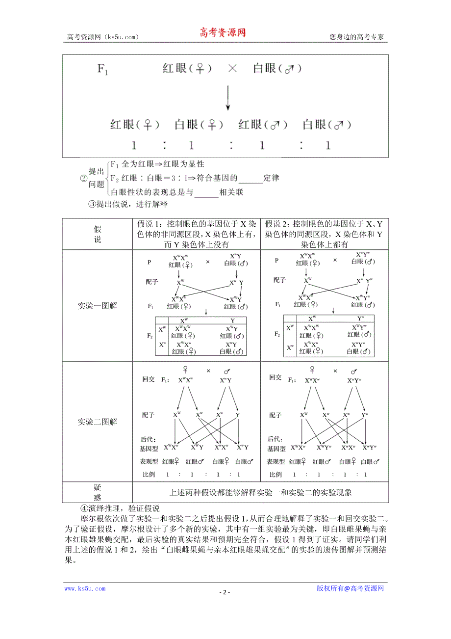 《新教材》2022届新高考生物一轮复习学案：2-1-3 基因在染色体上、伴性遗传 WORD版含解析.docx_第2页