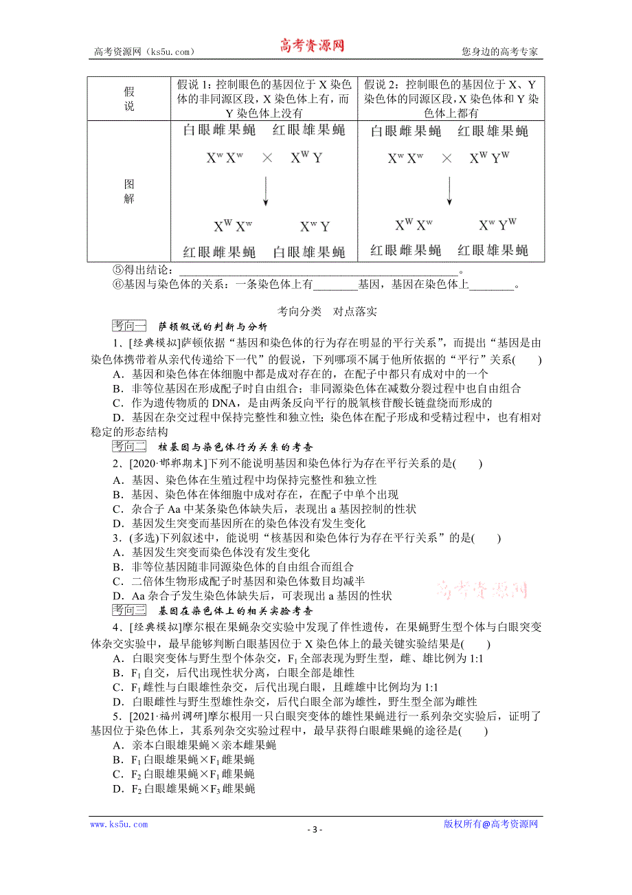 《新教材》2022届新高考生物一轮复习学案：2-1-3 基因在染色体上、伴性遗传 WORD版含解析.docx_第3页