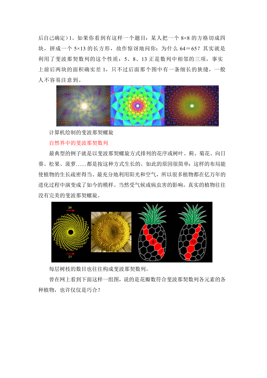 《优教通同步备课》高中数学（北师大版）必修五教案：1.1 拓展资料：神奇的数列.doc_第2页