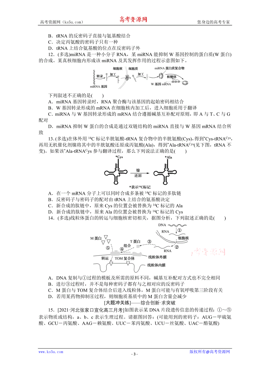 《新教材》2022届新高考生物一轮复习课后检测：22 基因控制蛋白质的合成及其与性状的关系 WORD版含解析.docx_第3页