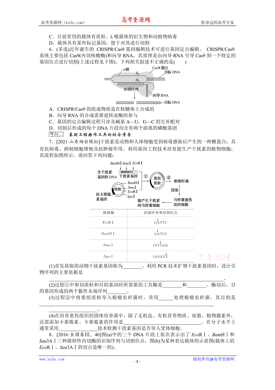 《新教材》2022届新高考生物一轮复习学案：选择性必修3-2-3 基因工程 WORD版含解析.docx_第3页