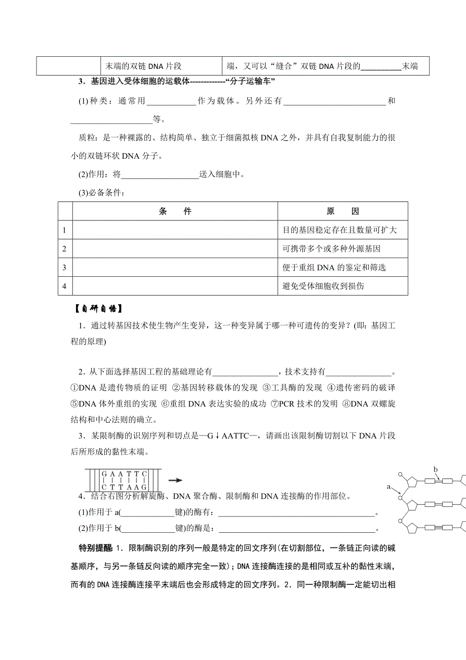 山东省乐陵市第一中学高中生物选修三第一章第1节 DNA重组技术的基本工具 学案 .doc_第2页