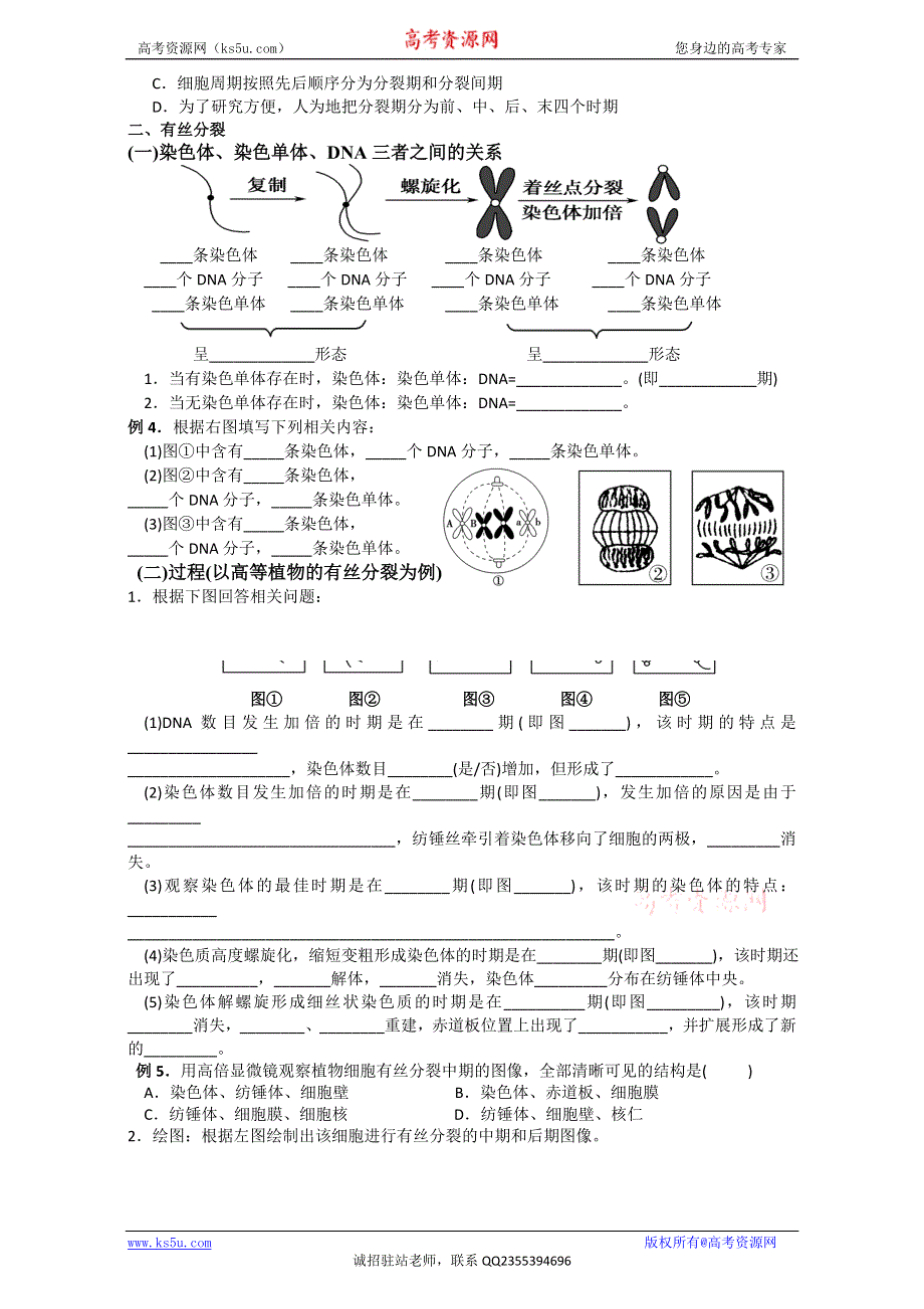 山东省乐陵市第一中学高中生物人教版必修1导学案：第6章《细胞的生命历程》 WORD版含答案.doc_第2页