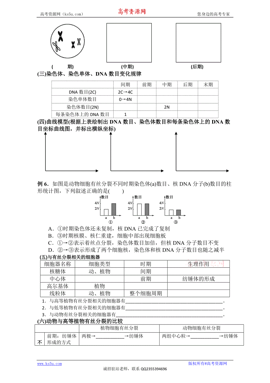 山东省乐陵市第一中学高中生物人教版必修1导学案：第6章《细胞的生命历程》 WORD版含答案.doc_第3页