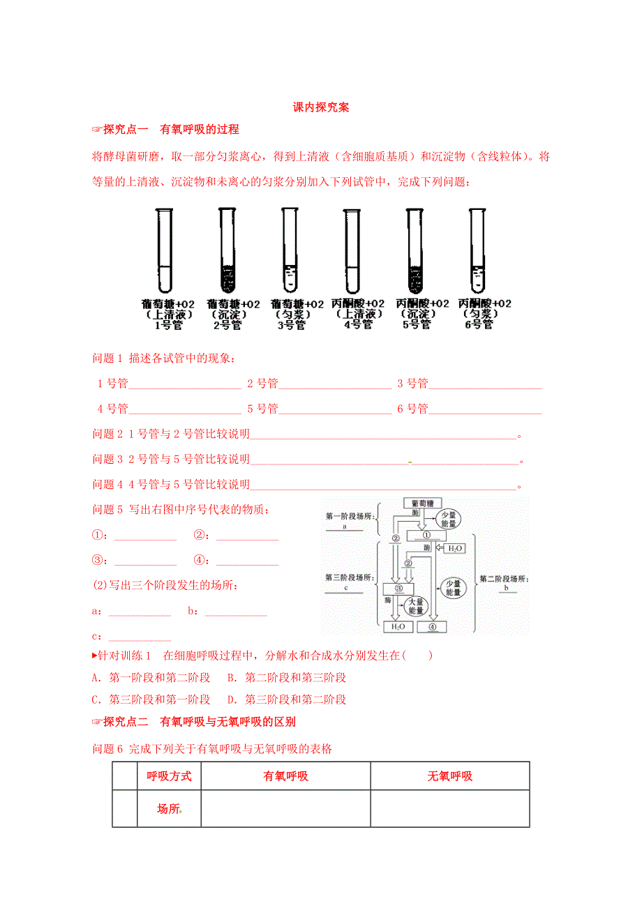 山东省乐陵市第一中学高中生物导学案必修1《53 ATP的主要来源——细胞呼吸（1）（B）》.doc_第3页