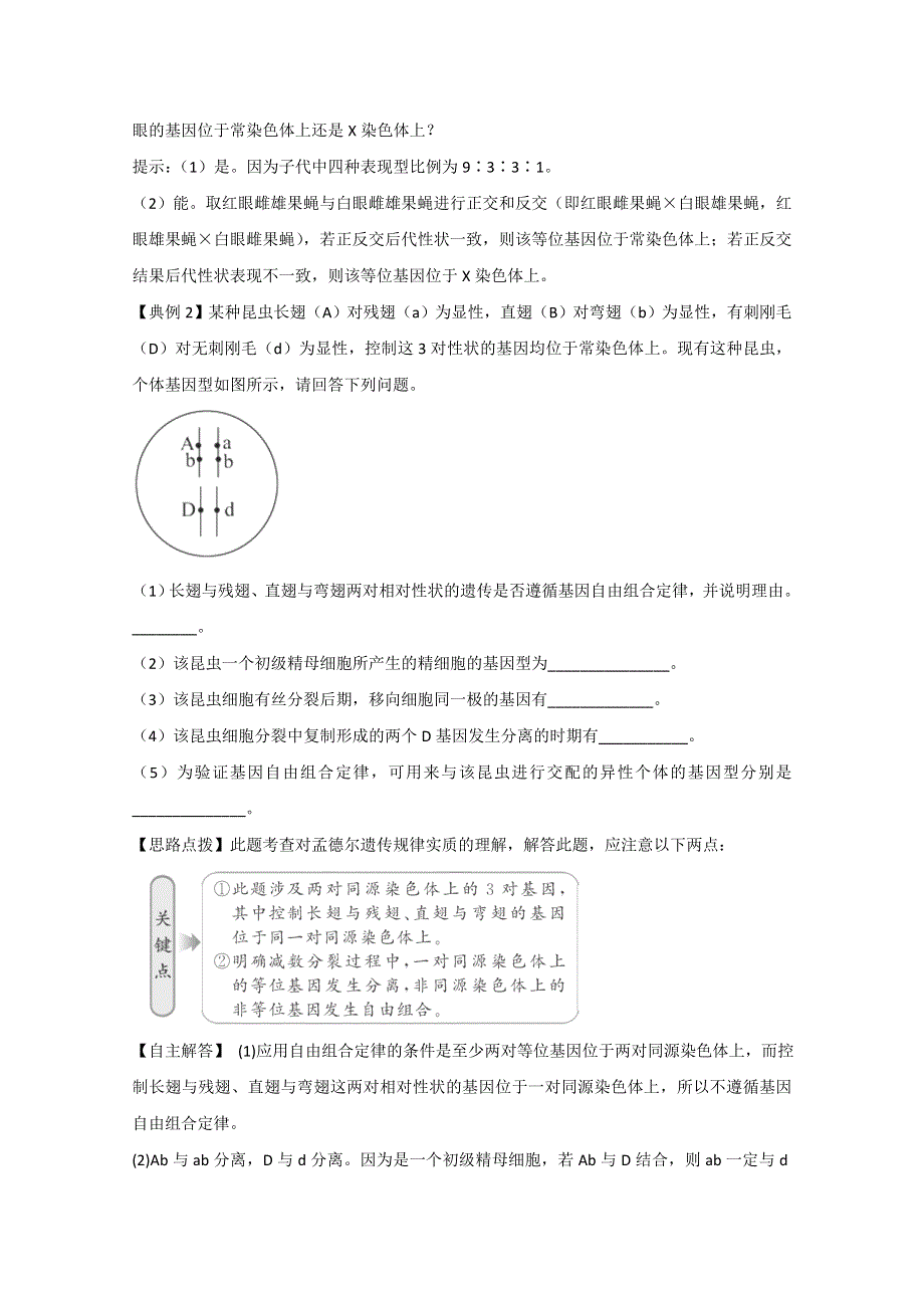 人教版必修2同步精练精析：22_基因在染色体上（新人教版必修2）.doc_第2页