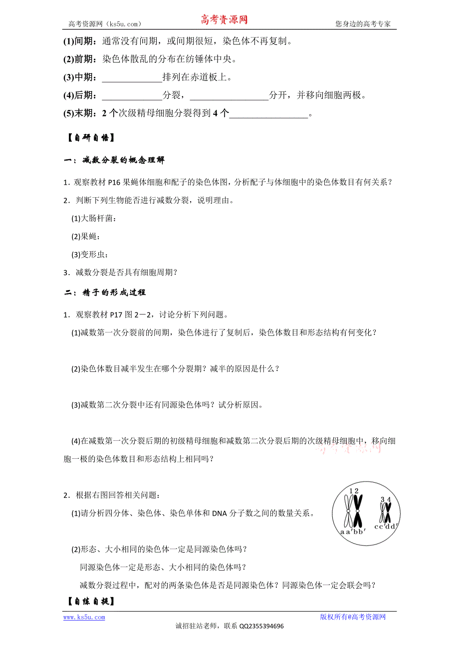 山东省乐陵市第一中学高中生物必修二学案：2.1 减数分裂和受精作用（第1课时） WORD版.doc_第2页