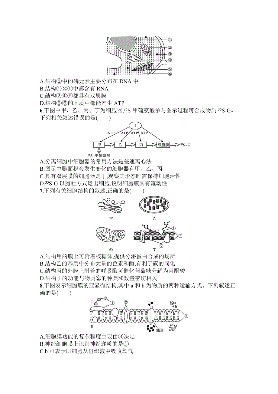 《新教材》2022届高三人教版生物一轮复习单元目标检测卷二　细胞的基本结构　细胞的物质输入和输出 WORD版含解析.docx_第2页