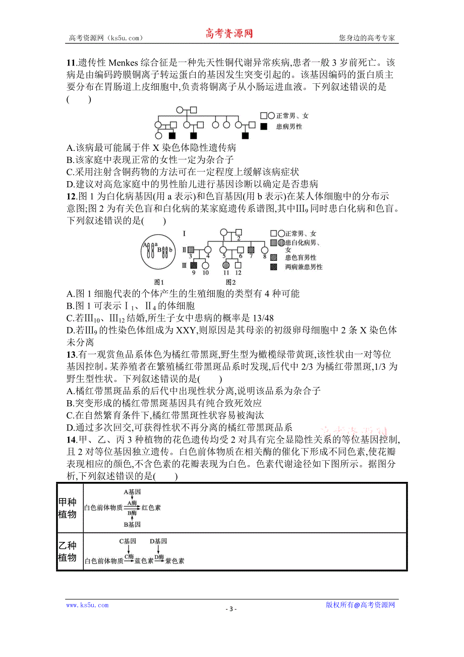 《新教材》2022届高三人教版生物一轮复习单元目标检测卷五　遗传因子的发现和伴性遗传 … WORD版含解析.docx_第3页