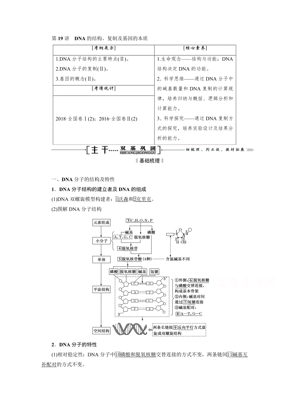 2021届高三生物一轮复习学案：第19讲　DNA的结构、复制及基因的本质 WORD版含解析.doc_第1页