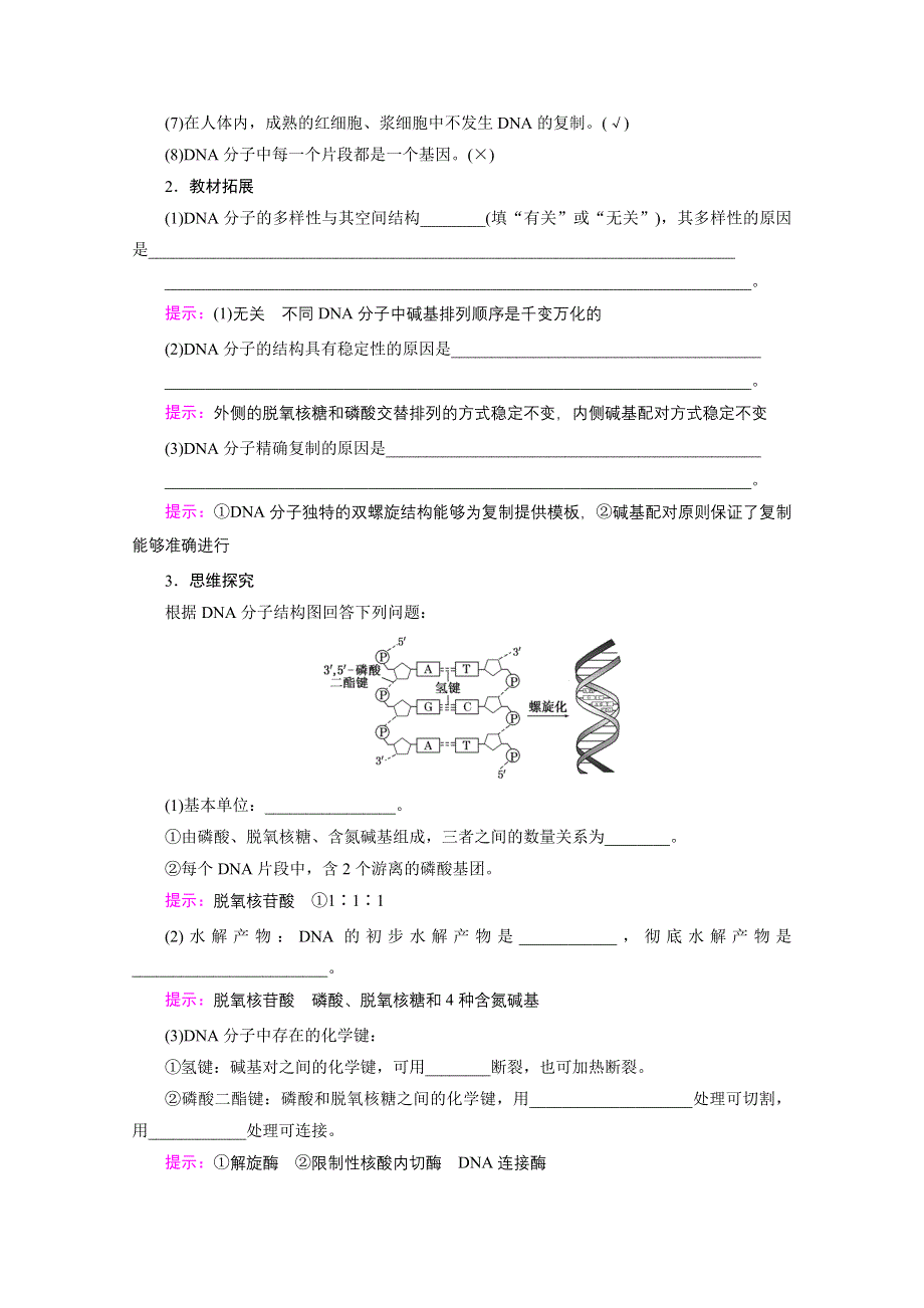 2021届高三生物一轮复习学案：第19讲　DNA的结构、复制及基因的本质 WORD版含解析.doc_第3页
