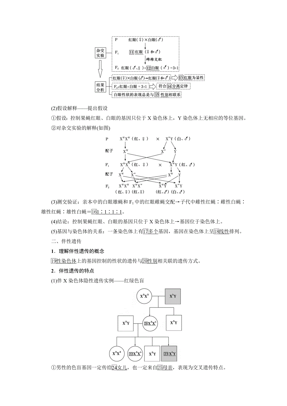 2021届高三生物一轮复习学案：第17讲　伴性遗传和人类遗传病 WORD版含解析.doc_第2页