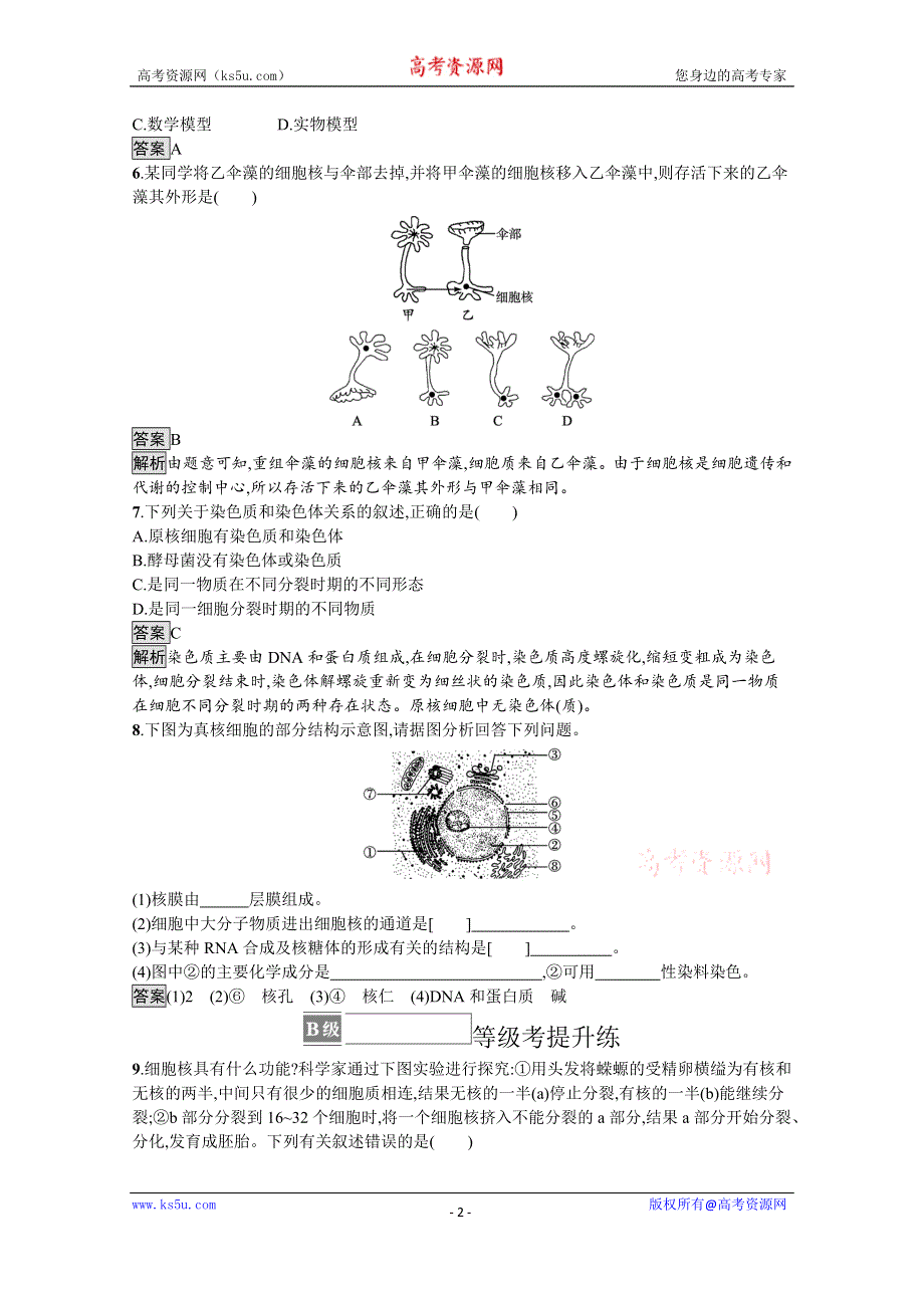 《新教材》2021-2022学年高中生物人教版必修一课后巩固提升：第3章　第3节　细胞核的结构和功能 WORD版含解析.docx_第2页