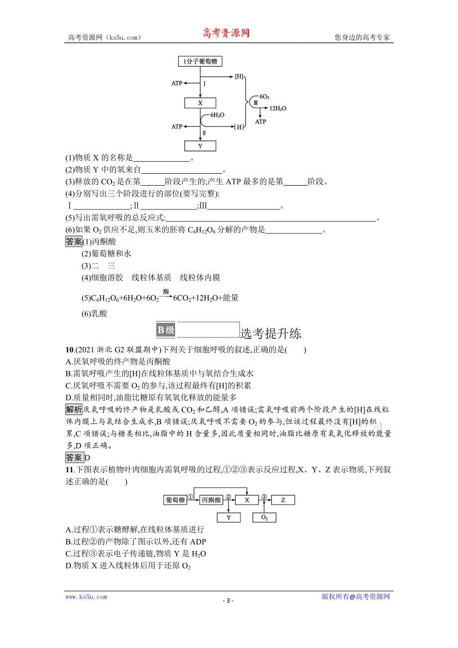 《新教材》2021-2022学年高中生物浙科版必修1训练：第三章　第四节　第1课时　需氧呼吸与厌氧呼吸的过程 WORD版含解析.docx_第3页