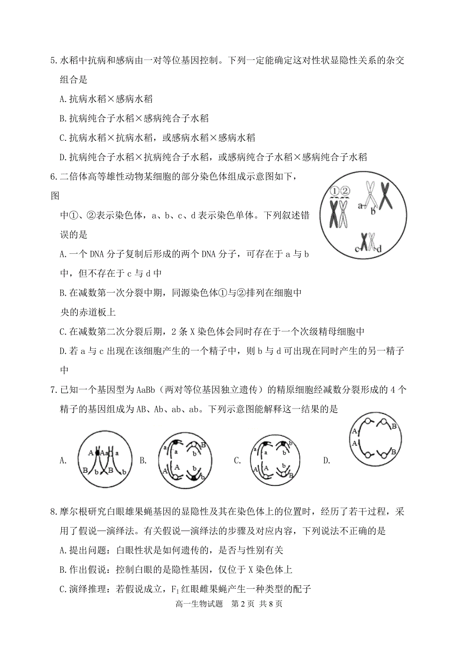 《发布》山东省临沂市罗庄区2021-2022学年高一下学期5月期中考试生物试题（民办） WORD版含答案.doc_第2页