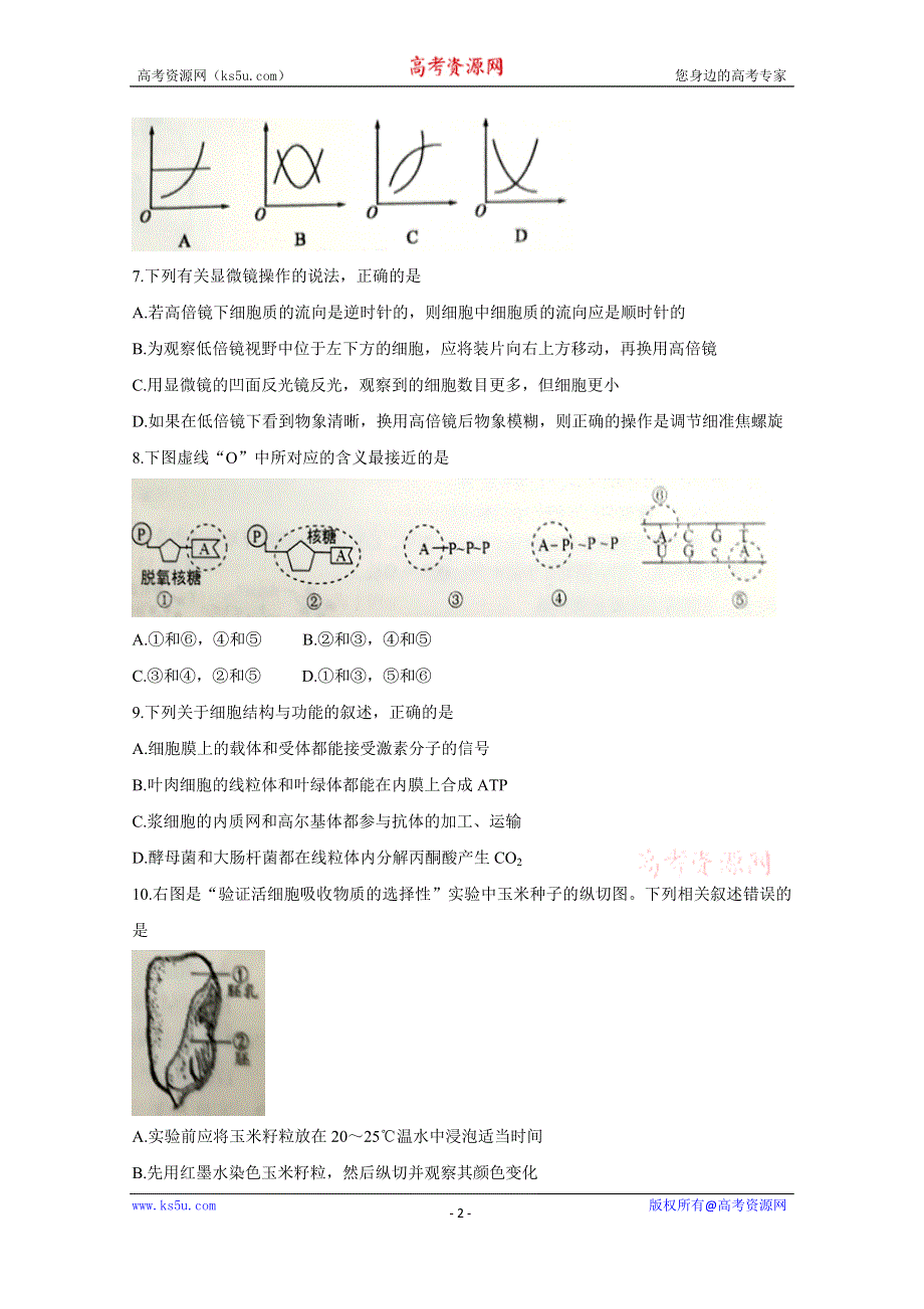 《发布》山东省五莲县2020届高三上学期模块诊断性检测 生物 WORD版含答案BYCHUN.doc_第2页