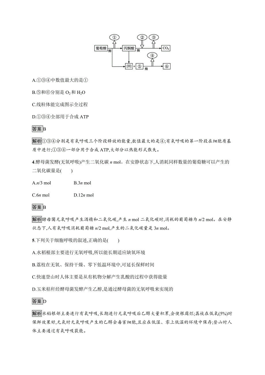 《新教材》2021-2022学年高中生物苏教版必修第一册课后巩固提升：第三章　第三节　细胞呼吸——能量的转化和利用 WORD版含解析.docx_第2页