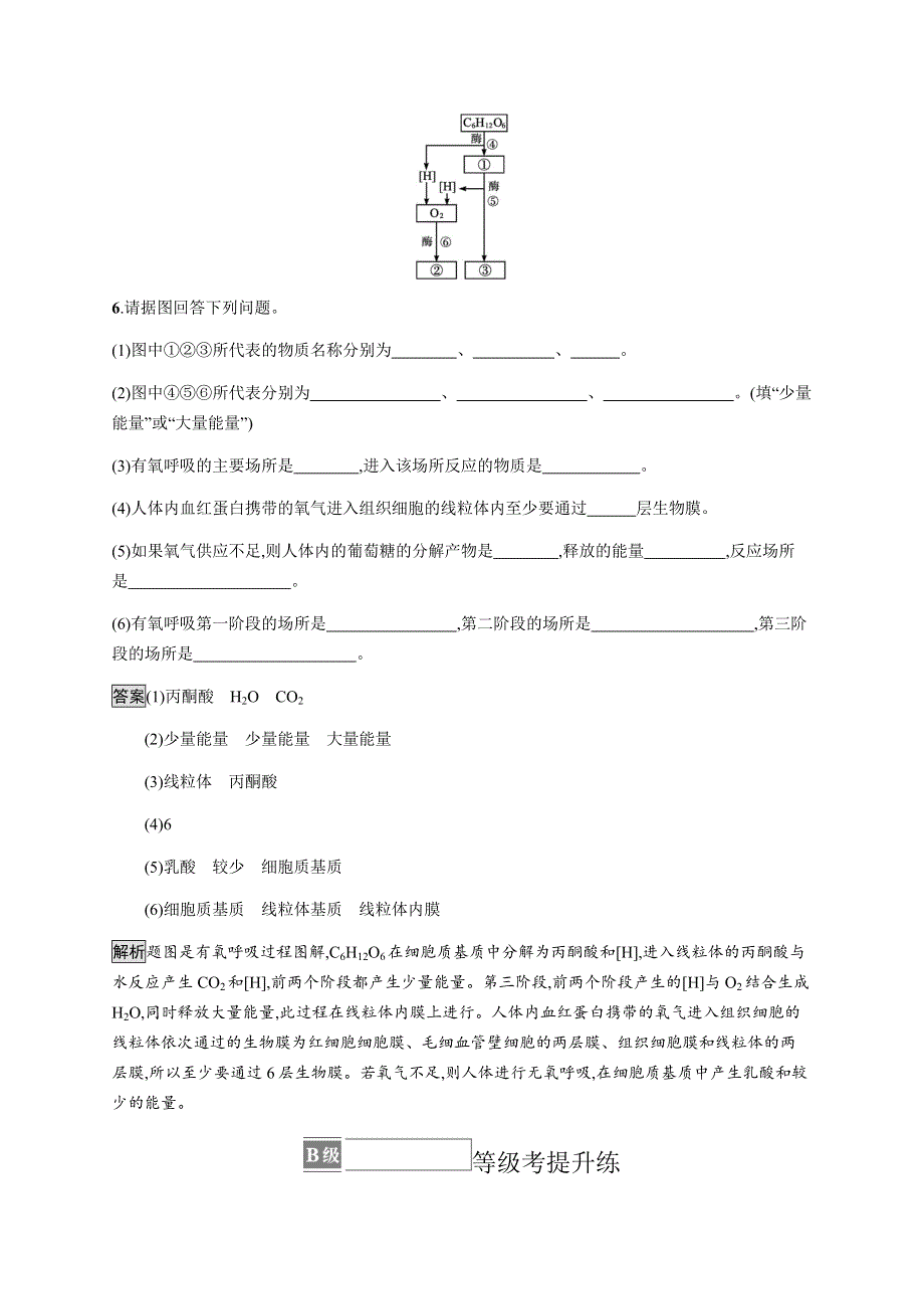 《新教材》2021-2022学年高中生物苏教版必修第一册课后巩固提升：第三章　第三节　细胞呼吸——能量的转化和利用 WORD版含解析.docx_第3页