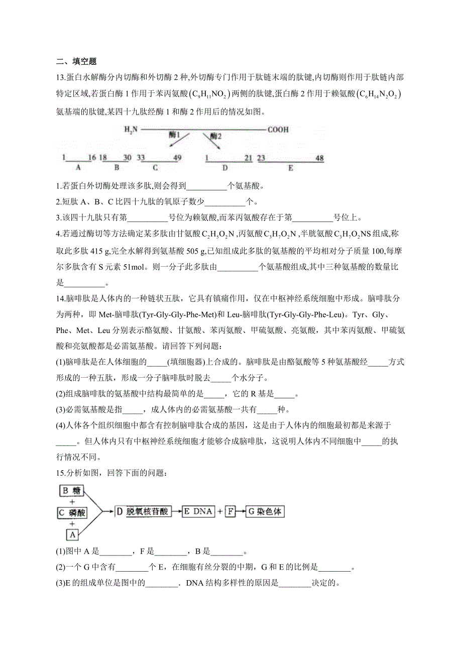 《新教材》2022届高考生物一轮复习同步检测：第一单元 细胞的概述及分子组成 第03讲 蛋白质和核酸 能力提升A卷 WORD版含答案.docx_第3页