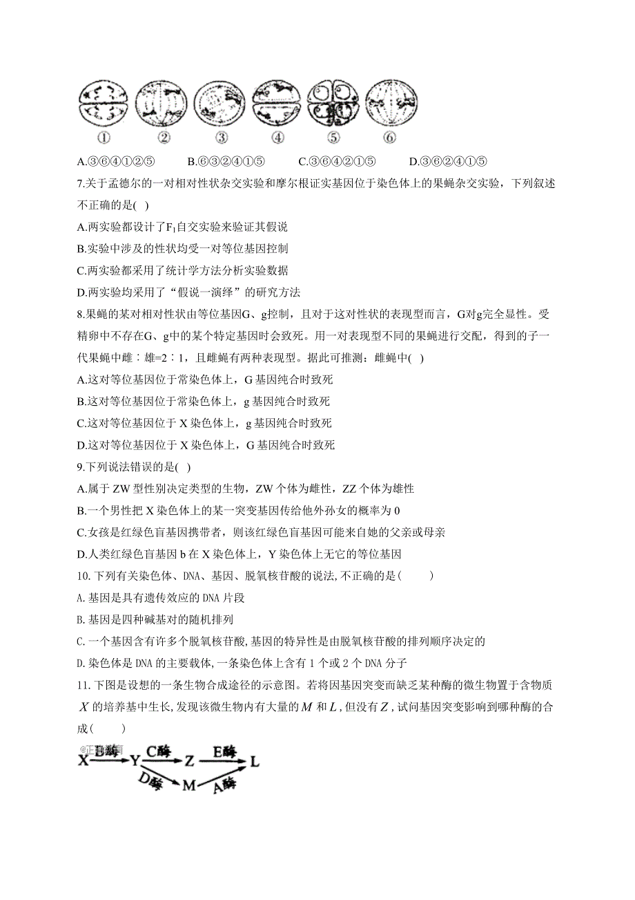 《新教材》2022届高考生物一轮复习同步检测：必修2分子与细胞 综合检测题 能力提升01 WORD版含答案.docx_第2页