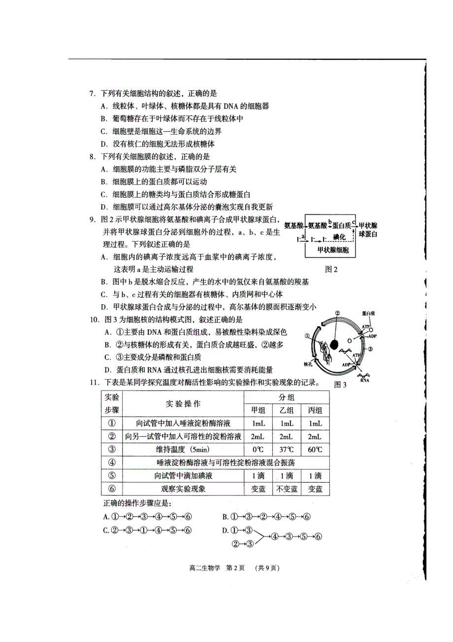 广东省东莞市2016-2017学年高二下学期期末教学质量检查生物试题 扫描版含答案.doc_第2页