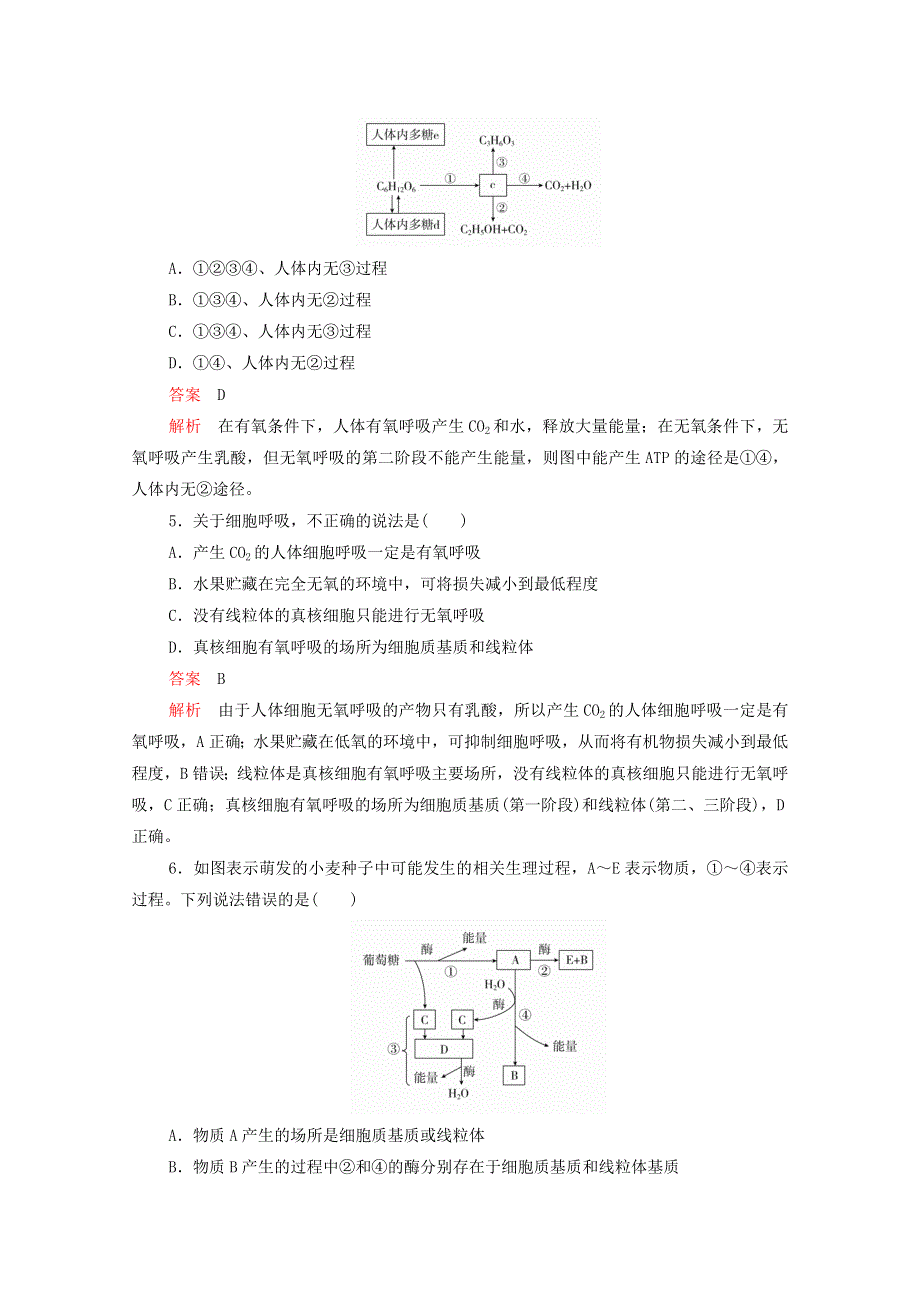 2020年新教材高中生物 第五章 细胞的能量供应和利用 第3节 第2课时 无氧呼吸及细胞呼吸原理的应用课时作业（含解析）新人教版必修1.doc_第2页