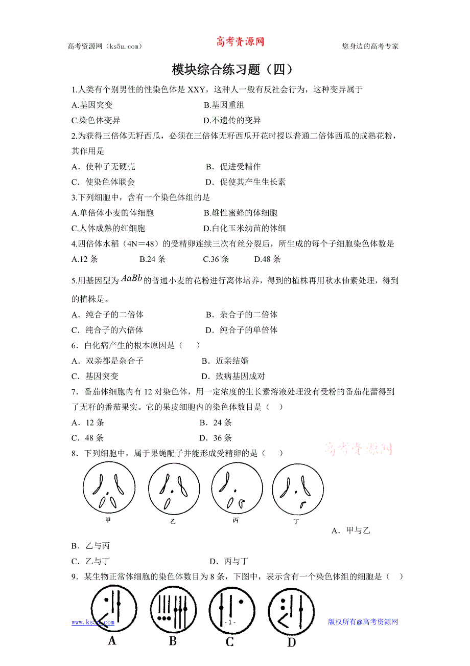 人教版高一生物必修二模块综合练习题（四）.doc_第1页