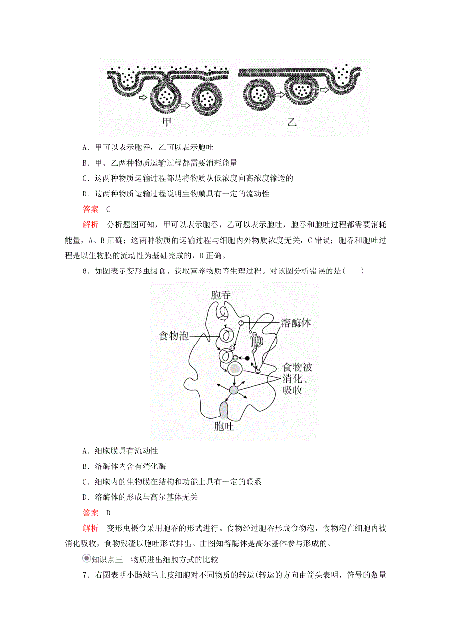 2020年新教材高中生物 第四章 细胞的物质输入和输出 第2节 主动运输与胞吞、胞吐课时作业（含解析）新人教版必修1.doc_第3页