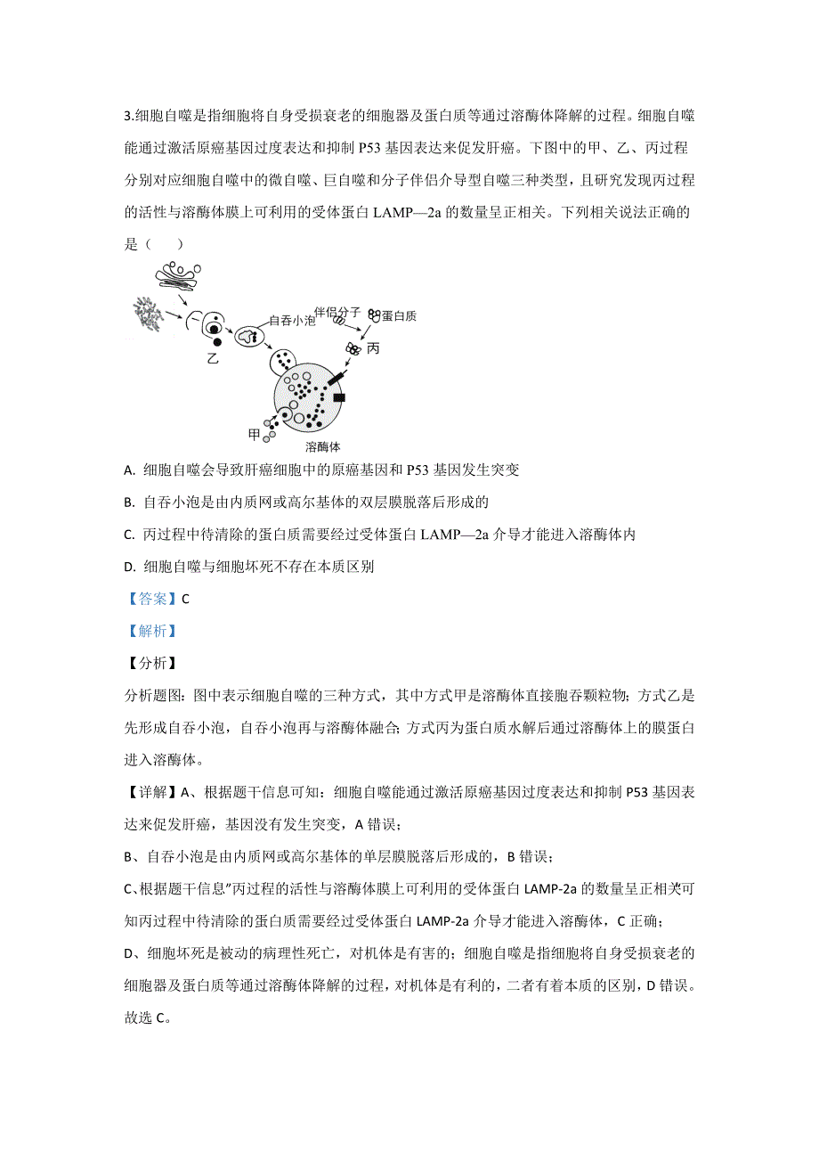 山东省威海市2020届高三第二次模拟生物试题 WORD版含解析.doc_第3页