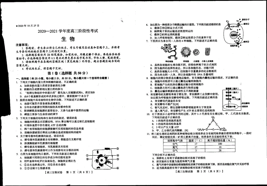 河南省灵宝市第一高级中学2021届高三上学期阶段性考试生物试卷 扫描版含答案.pdf_第1页