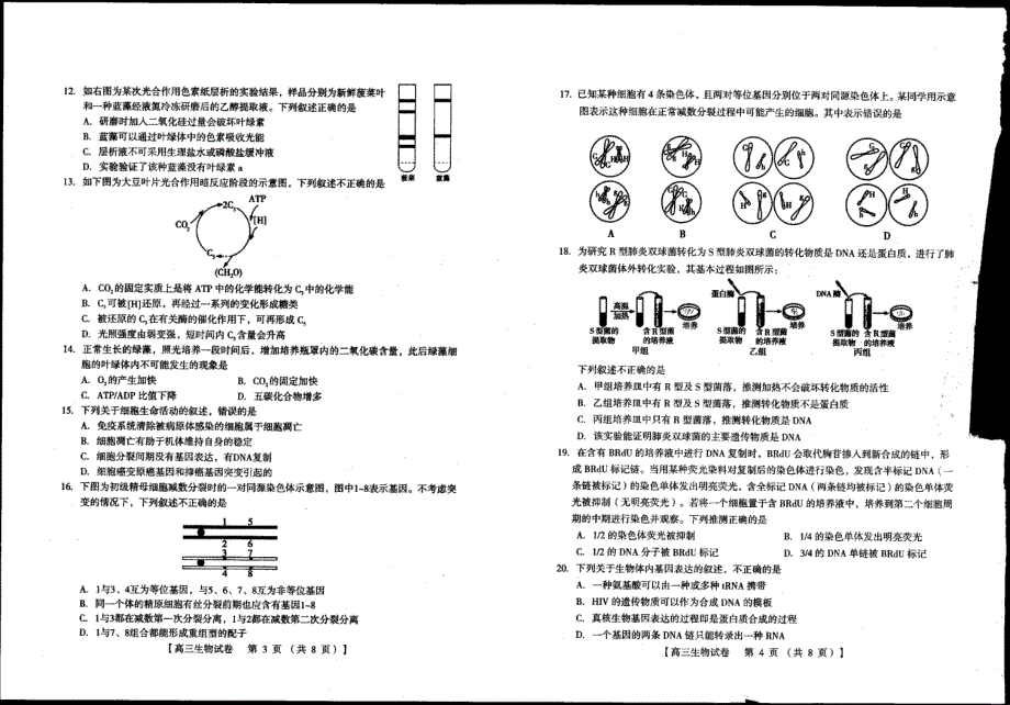 河南省灵宝市第一高级中学2021届高三上学期阶段性考试生物试卷 扫描版含答案.pdf_第2页