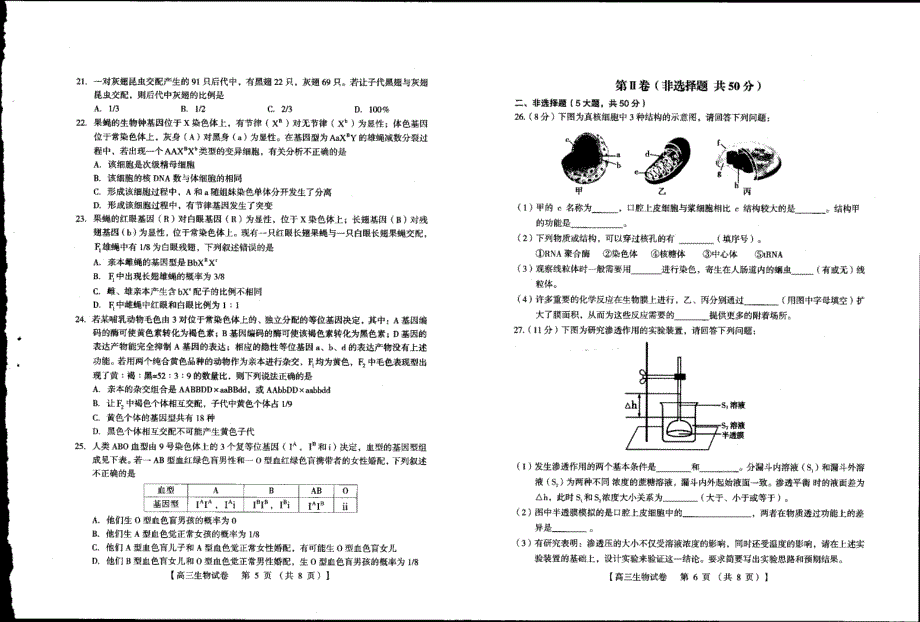 河南省灵宝市第一高级中学2021届高三上学期阶段性考试生物试卷 扫描版含答案.pdf_第3页