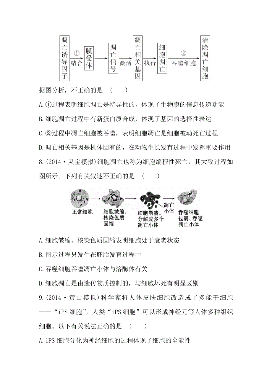 新人教2015届高中生物检测题--细胞分化、衰老、凋亡和癌变.doc_第3页