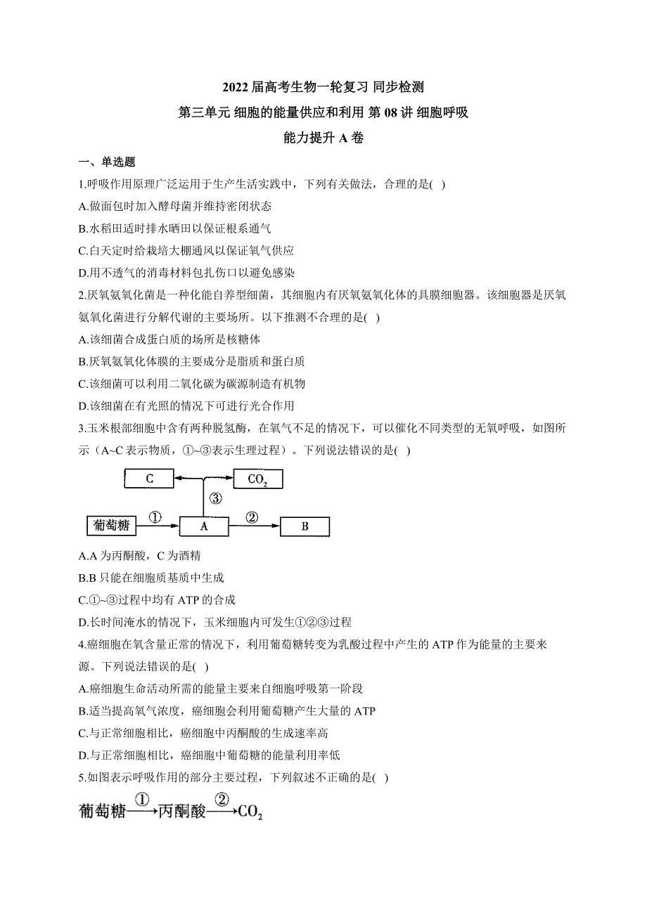 《新教材》2022届高考生物一轮复习同步检测：第三单元 细胞的能量供应和利用 第08讲 细胞呼吸 能力提升A卷 WORD版含答案.docx_第1页