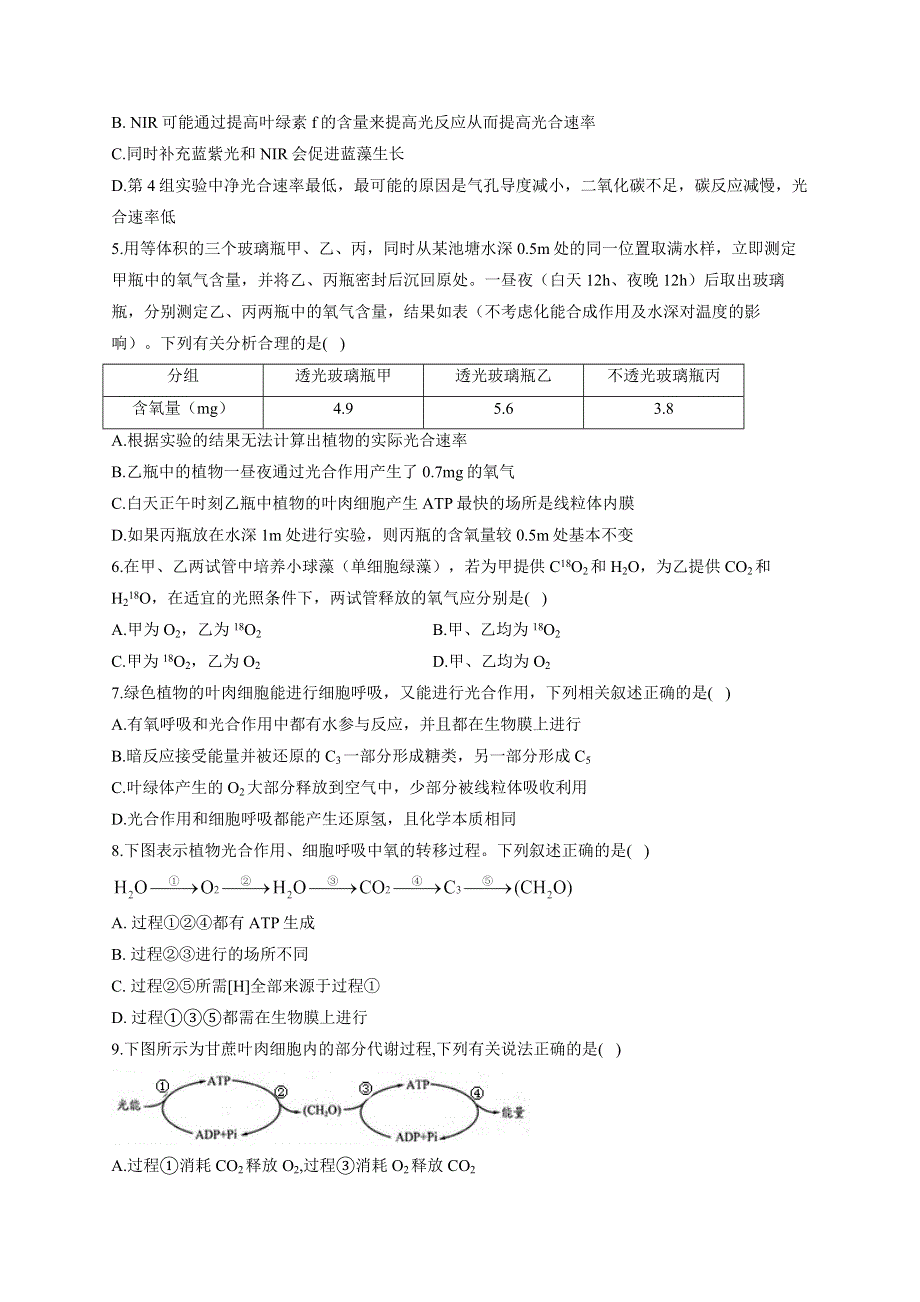 《新教材》2022届高考生物一轮复习同步检测：第三单元 细胞的能量供应和利用 第10讲 细胞呼吸与光合作用综合应用 基础训练A卷 WORD版含答案.docx_第2页