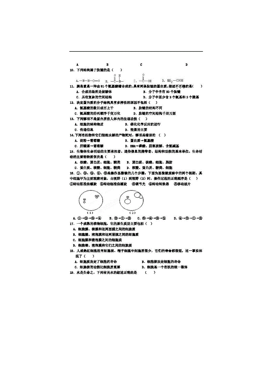 山东省宁阳县第四中学2014-2015学年高一上学期期中考试生物试题（扫描版含答案）.doc_第2页