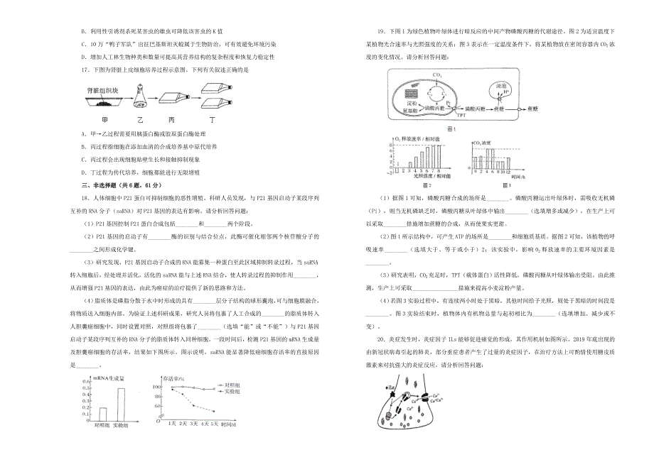 2020年高三生物最新信息卷（十二）.doc_第3页