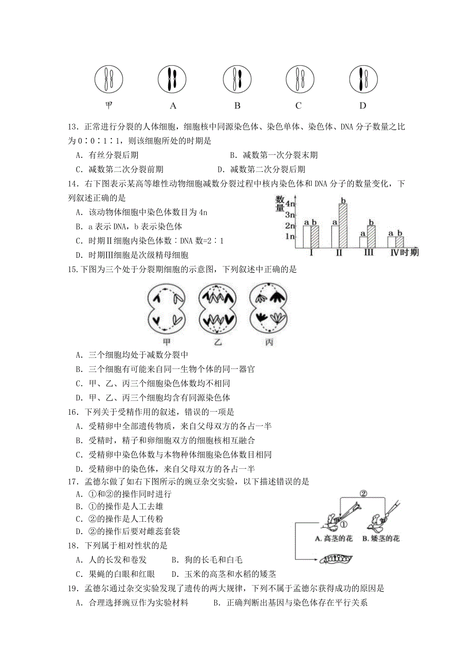 四川省攀枝花市第十五中学2019-2020学年高一生物下学期期中试题.doc_第3页