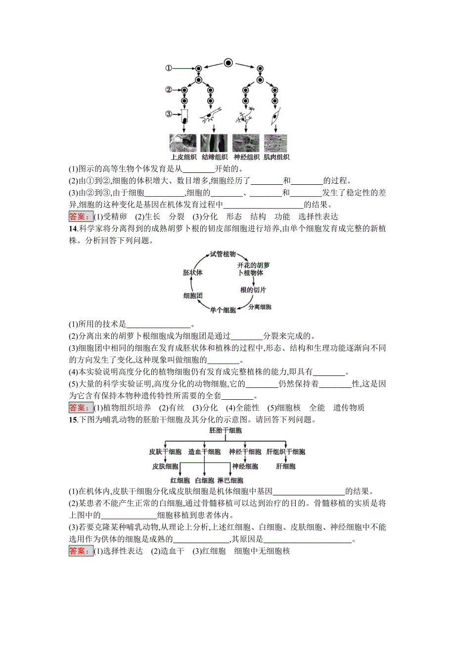 2016-2017学年高中生物必修一（人教版）练习：6-2细胞的分化 WORD版含答案.doc_第3页