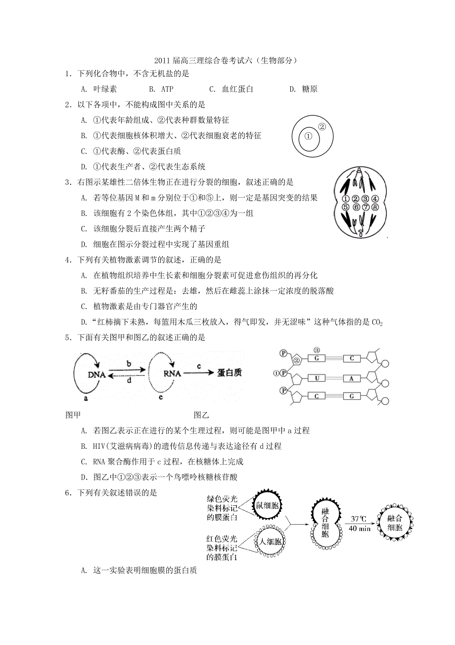 广东省东莞中学2011届高三理综自主命题6（生物）.doc_第1页