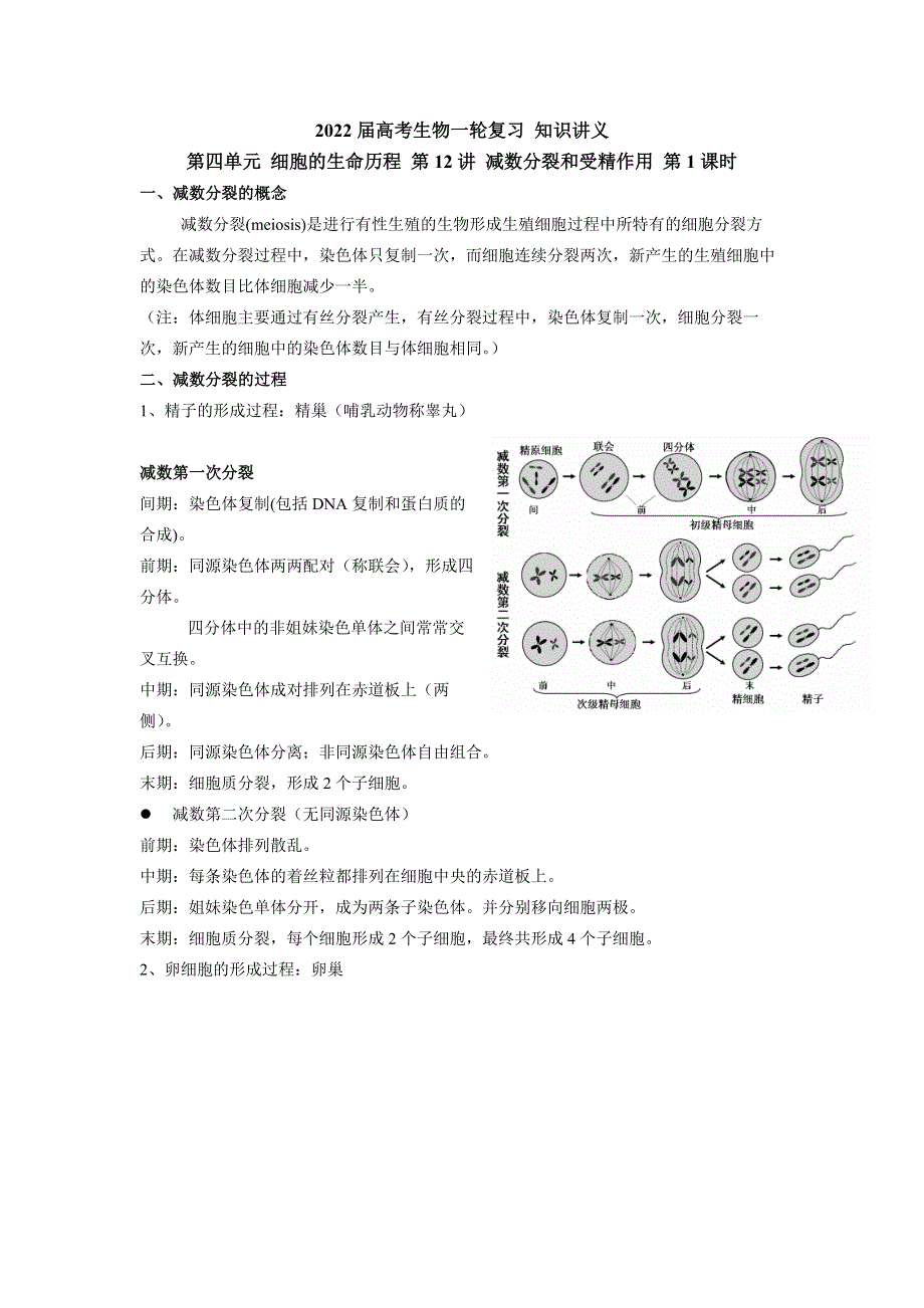 《新教材》2022届高考生物一轮复习讲义：第四单元 细胞的生命历程 第12讲 减数分裂和受精作用 第1课时 .docx_第1页