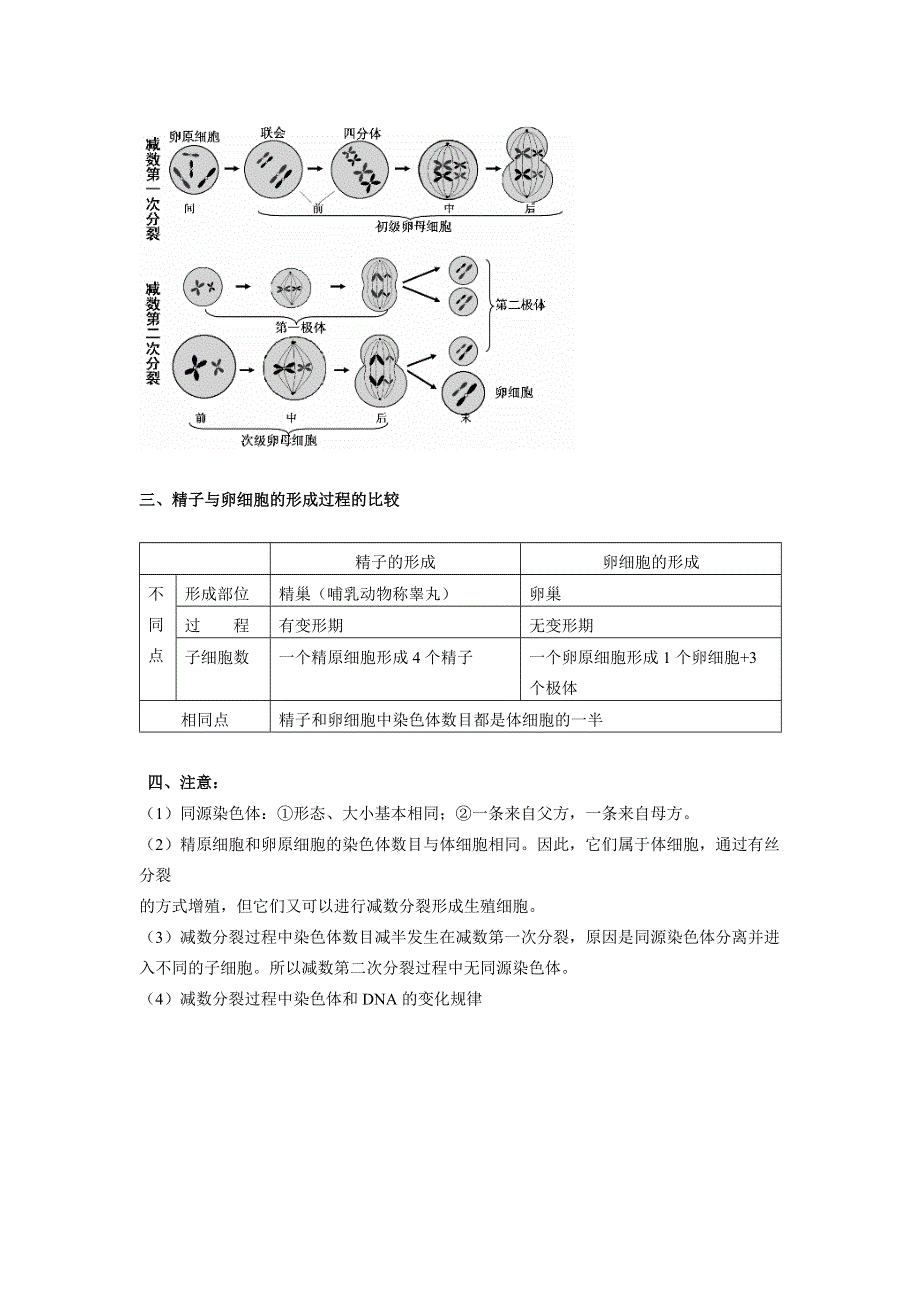 《新教材》2022届高考生物一轮复习讲义：第四单元 细胞的生命历程 第12讲 减数分裂和受精作用 第1课时 .docx_第2页