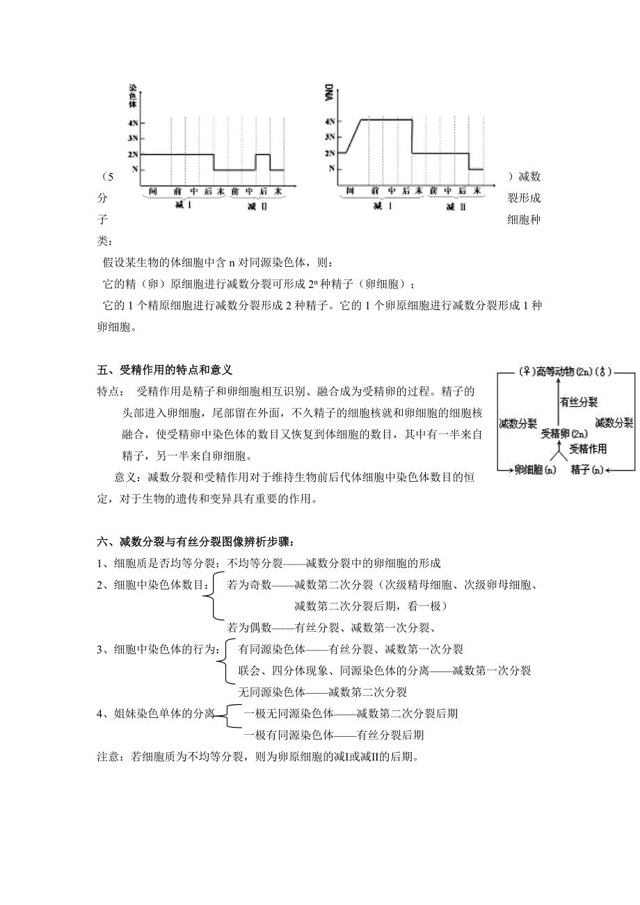 《新教材》2022届高考生物一轮复习讲义：第四单元 细胞的生命历程 第12讲 减数分裂和受精作用 第1课时 .docx_第3页