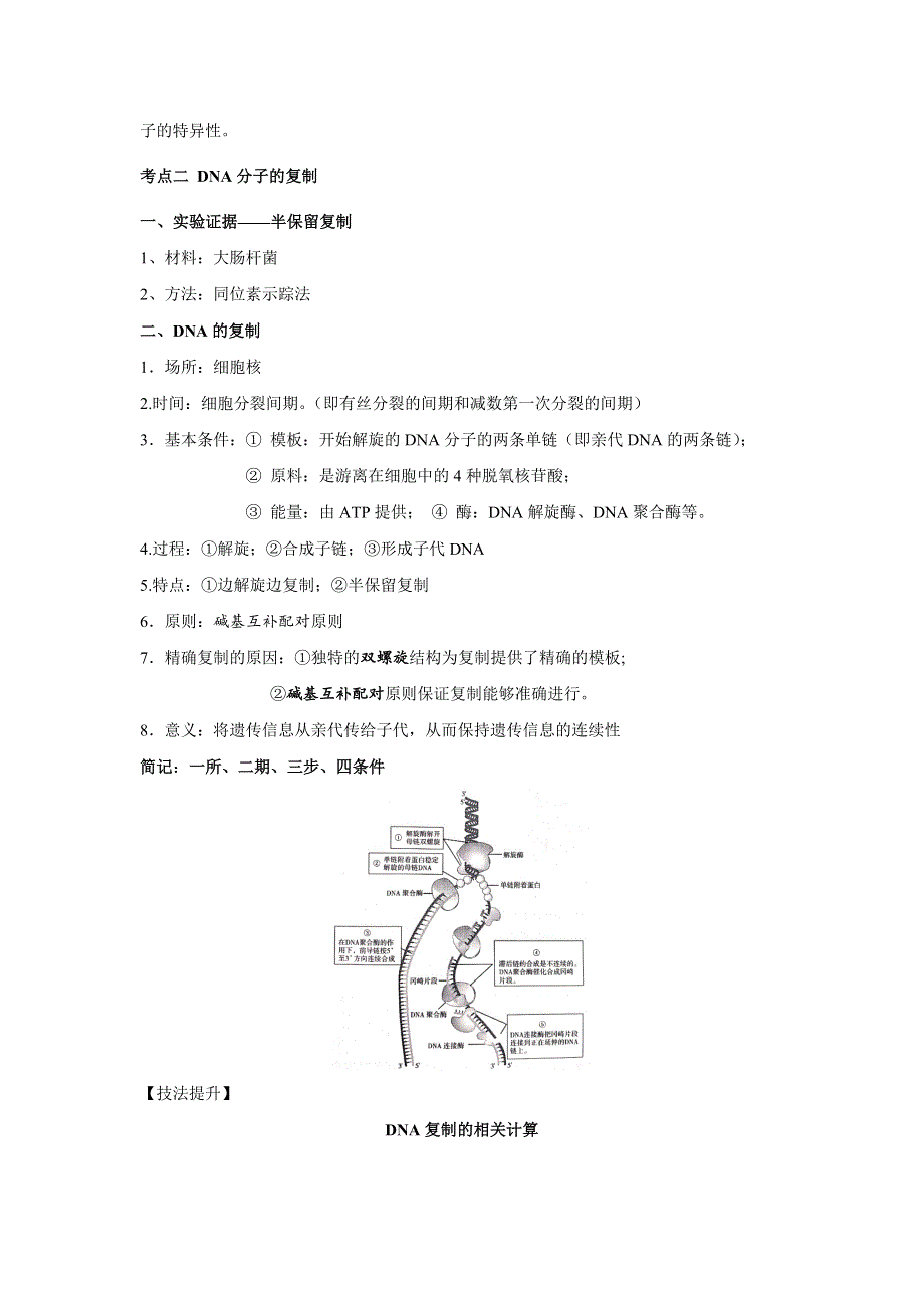 《新教材》2022届高考生物一轮复习讲义：第六单元 遗传的物质基础 第18讲 DNA分子的结构、复制和基因的本质 .docx_第2页