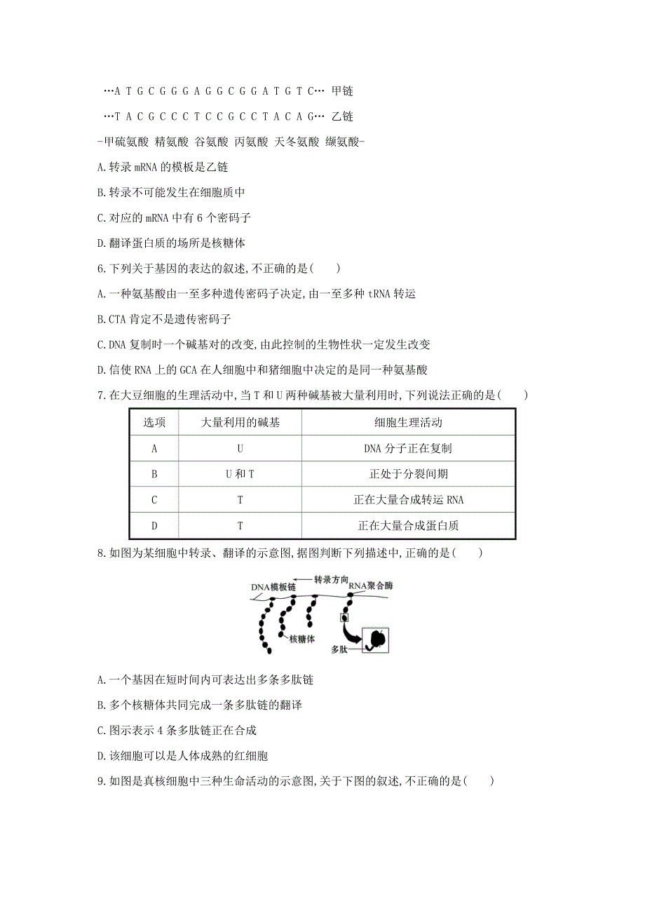 2020年新教材高中生物 暑假作业第11天 基因指导蛋白质的合成（含解析）.doc_第2页