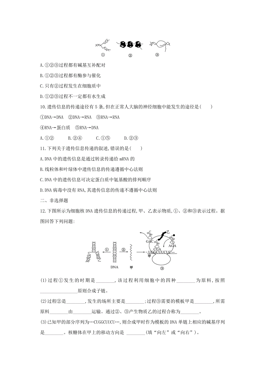 2020年新教材高中生物 暑假作业第11天 基因指导蛋白质的合成（含解析）.doc_第3页