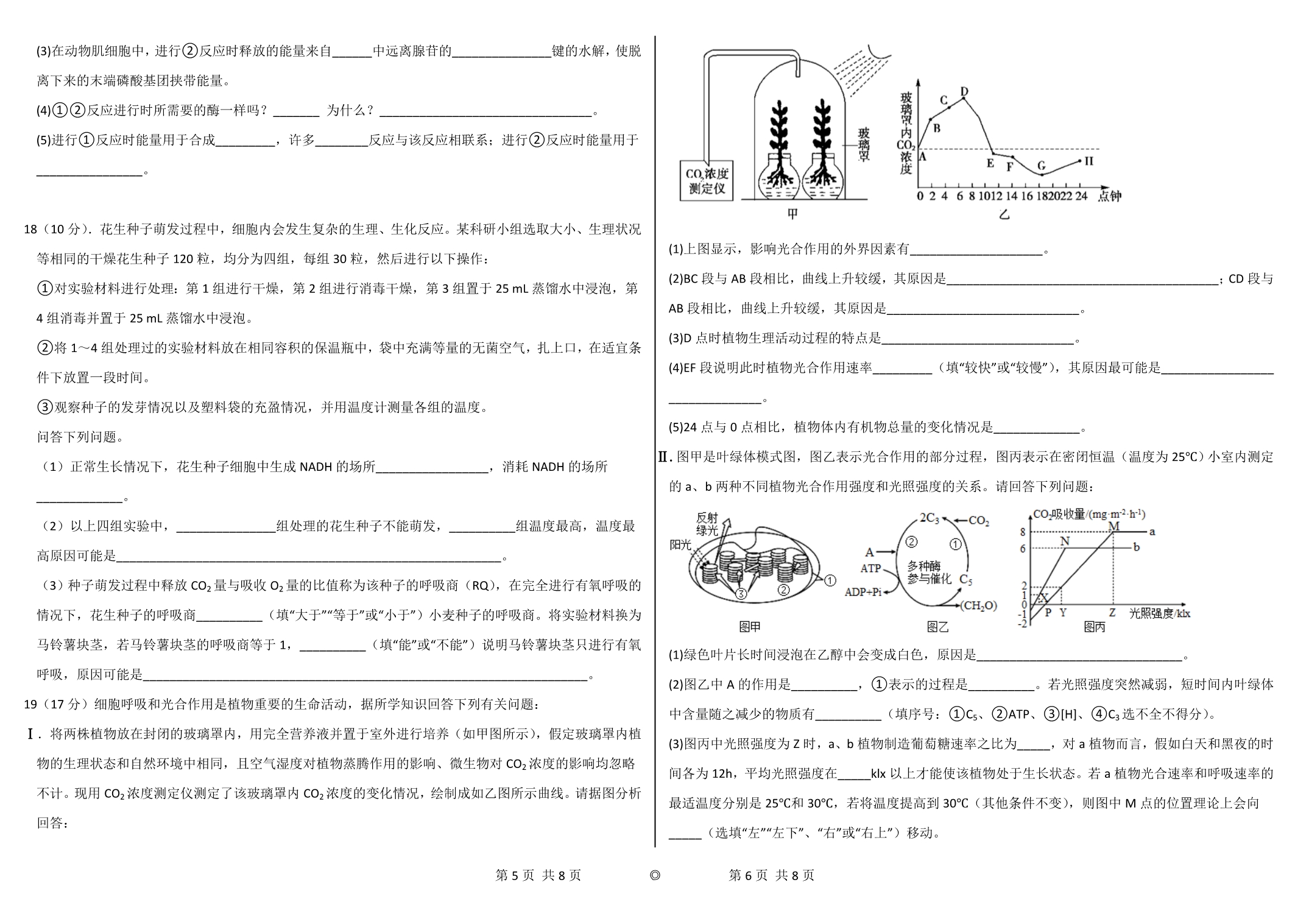 广东省东莞市第四高级中学2023届高三上学期8月月考试题 生物 WORD版含解析.doc_第3页