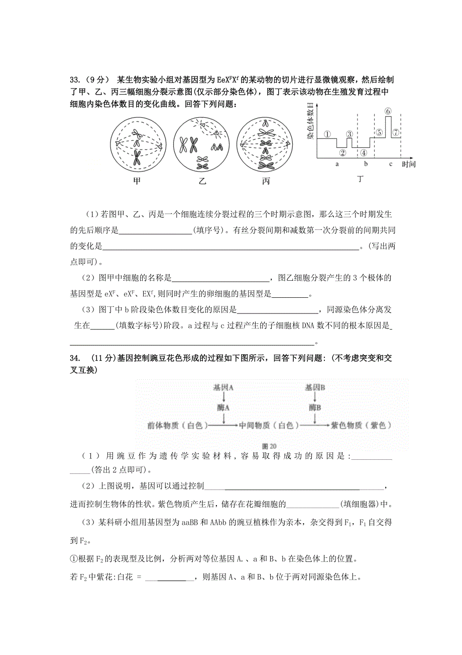 四川省攀枝花市第十五中学校2021届高三生物上学期第5次周考试题.doc_第3页