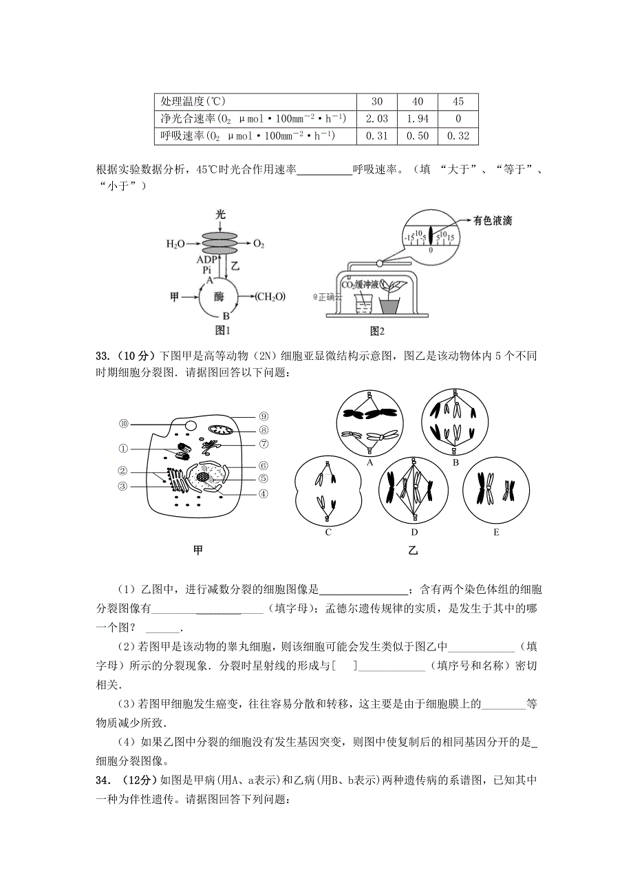 四川省攀枝花市第十五中学校2021届高三生物上学期第1次周考试题.doc_第3页